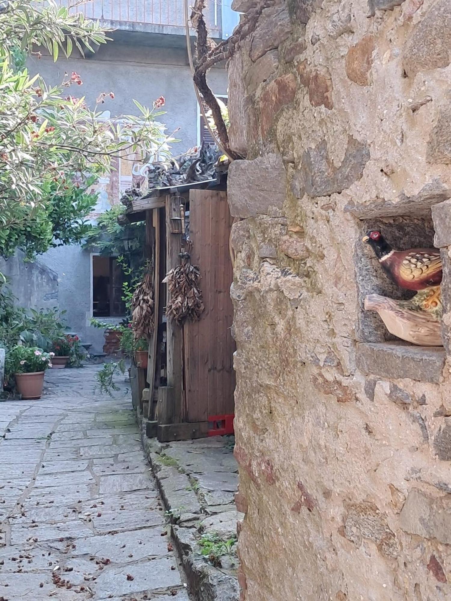 Castelveccana Nonna Anita Bed & Breakfast エクステリア 写真