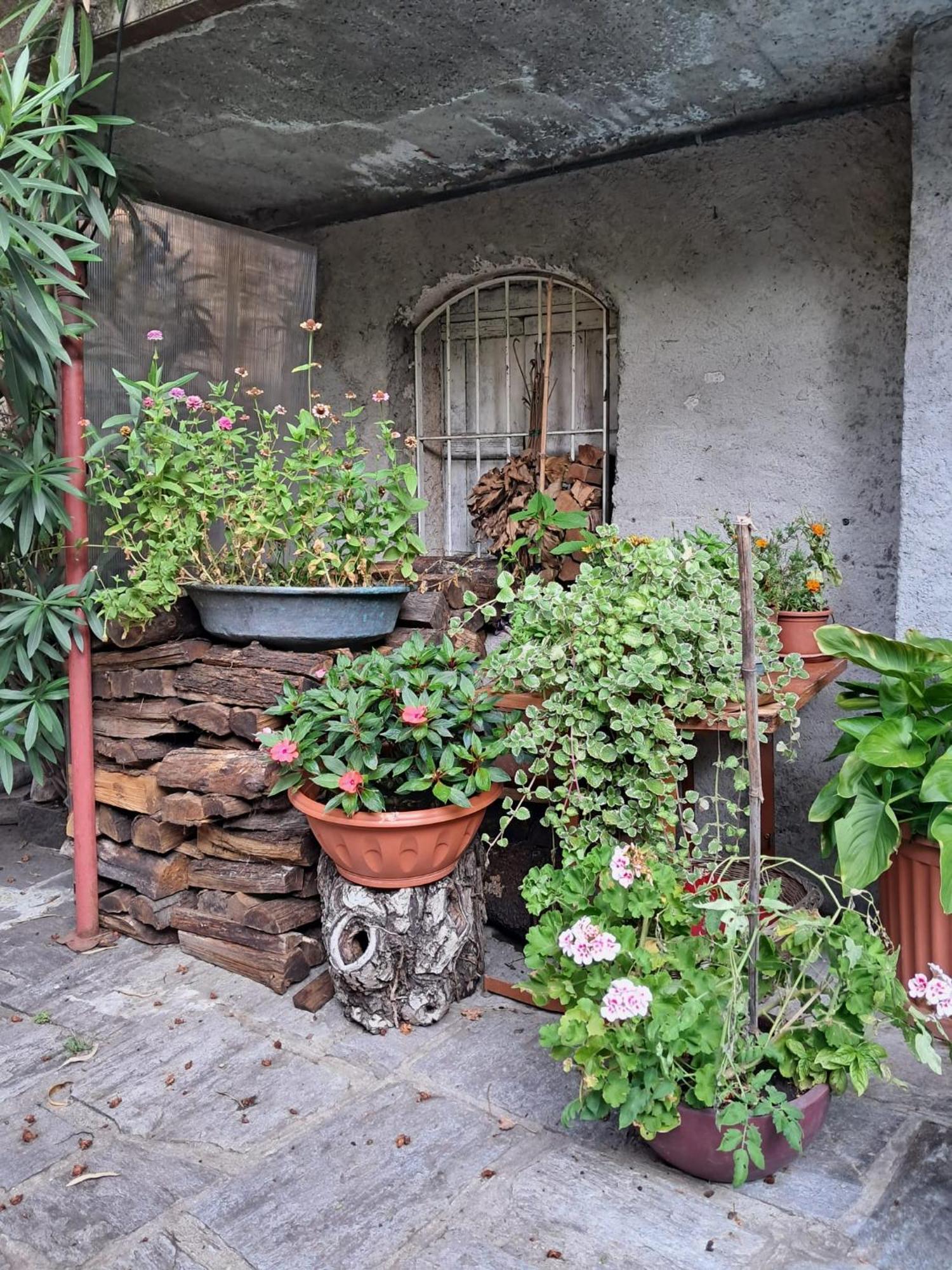 Castelveccana Nonna Anita Bed & Breakfast エクステリア 写真