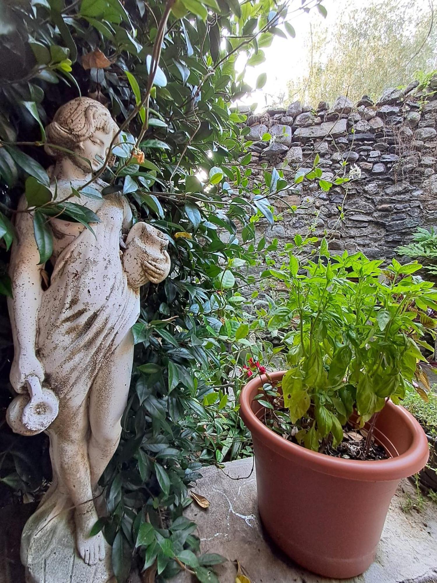 Castelveccana Nonna Anita Bed & Breakfast エクステリア 写真